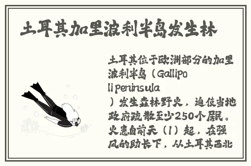 黑料门今日黑料不打烊